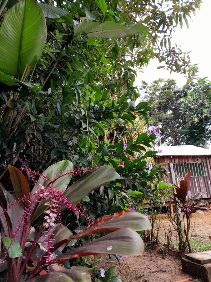 Апартаменти Casa Do Xingu Летісія Екстер'єр фото