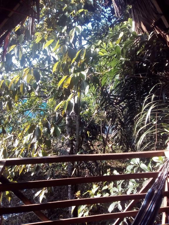 Апартаменти Casa Do Xingu Летісія Екстер'єр фото